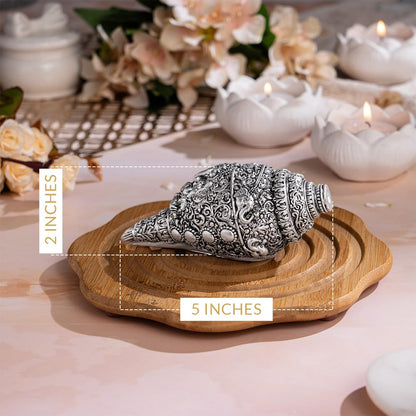 Ganesh Shankh (Conch) - Silver Plated (5 Inch)
